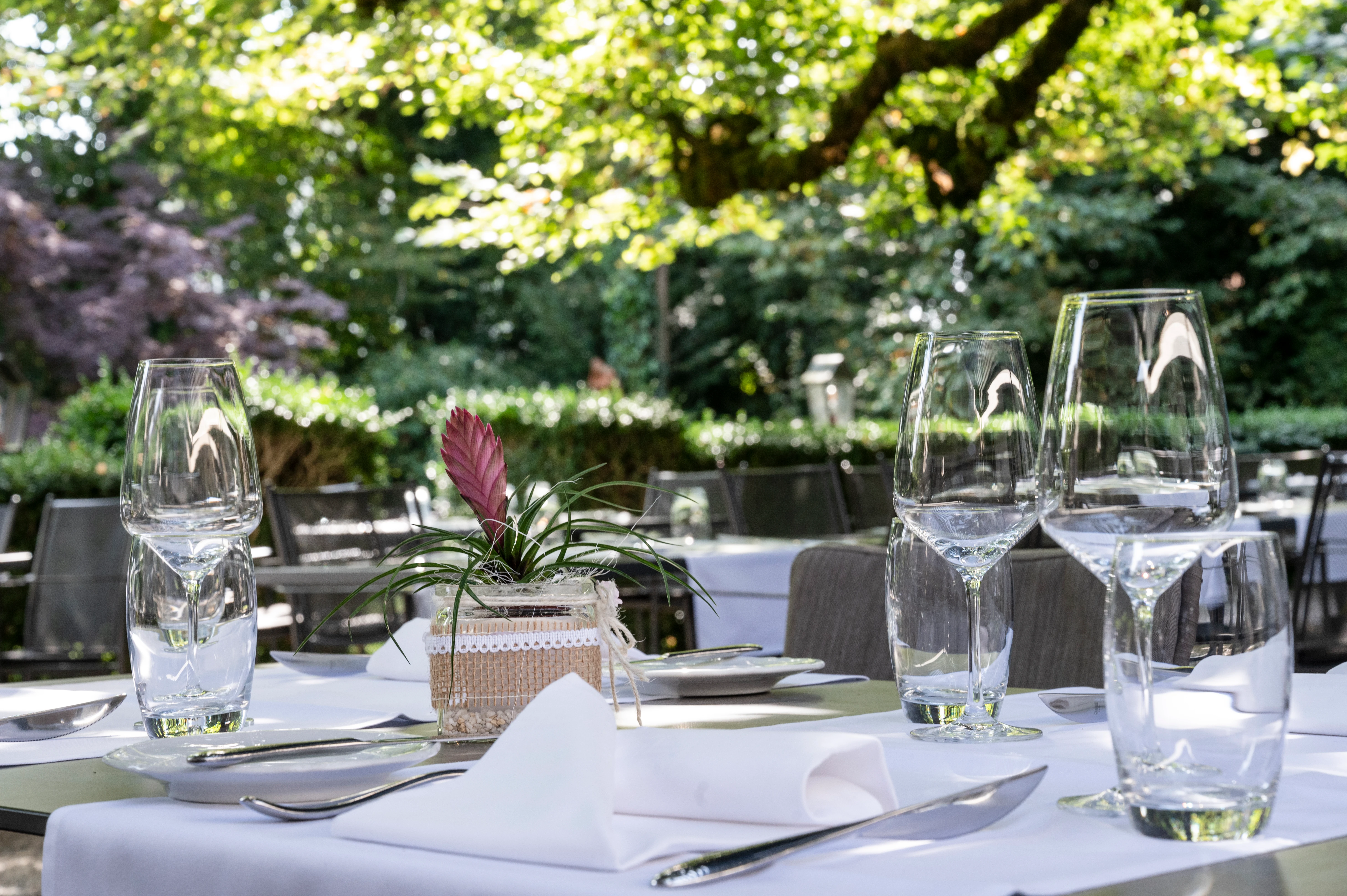Una tavola apparecchiata con stile nel giardino dello Sternen, con bicchieri raffinati, posate e tanto verde.